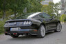 Ford Mustang - Kuohittu villihevonen