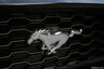 Ford Mustang - Kuohittu villihevonen