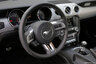 Ford Mustang - Kuohittu villihevonen