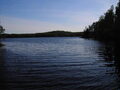 http://www.nettiauto.com/yritys/autoliikejarvenpaa